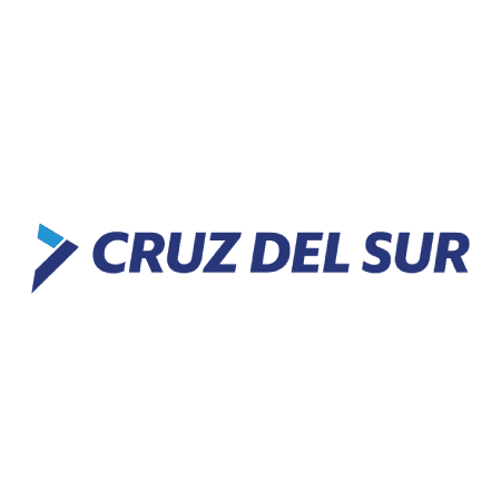 Logo Cruz del Sur - 450x450